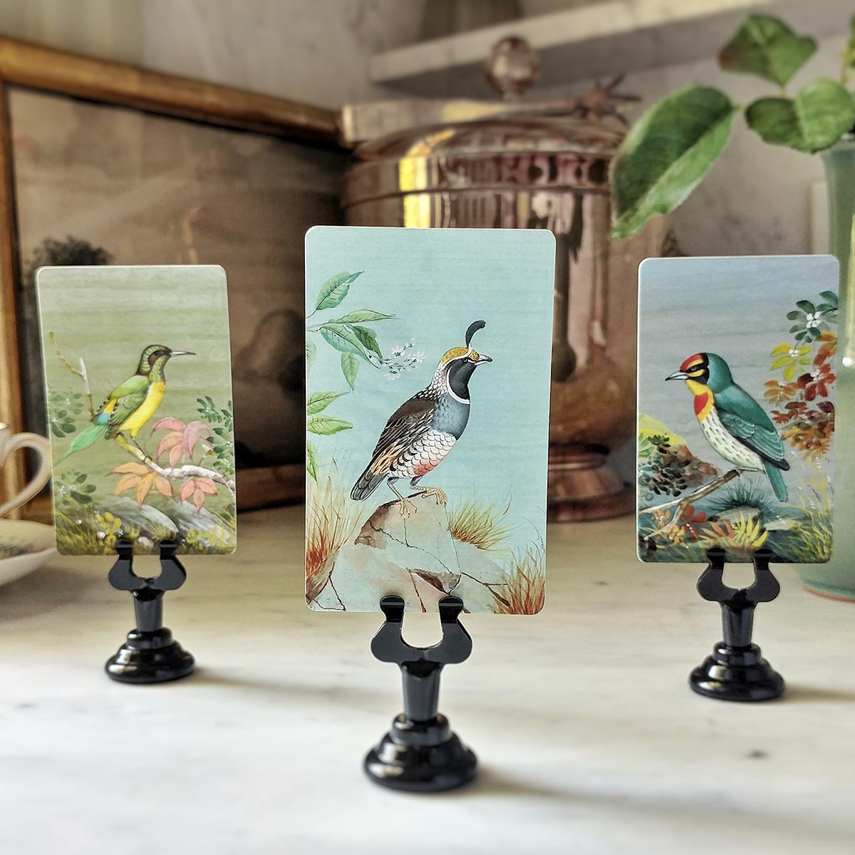 Birds of India - Place Cards - Upright