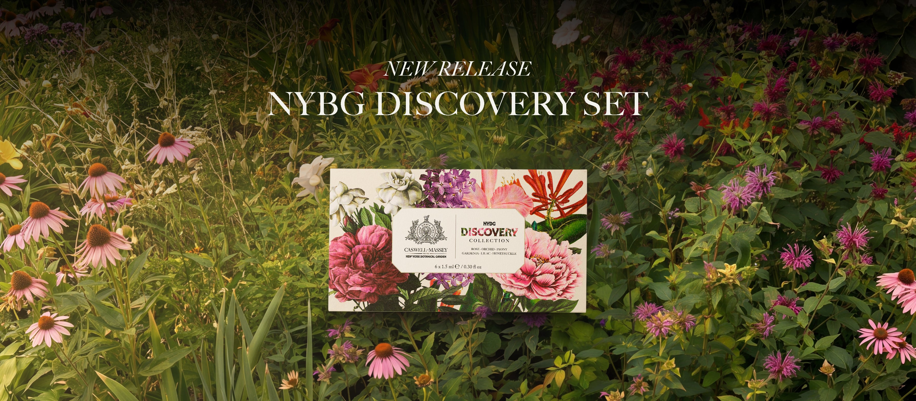 Caswell-Massey's New NYBG Discovery Fragrance Collection of 1.5ml size fragrance vials.
