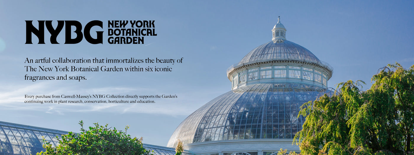 a glass dome with a domed roof