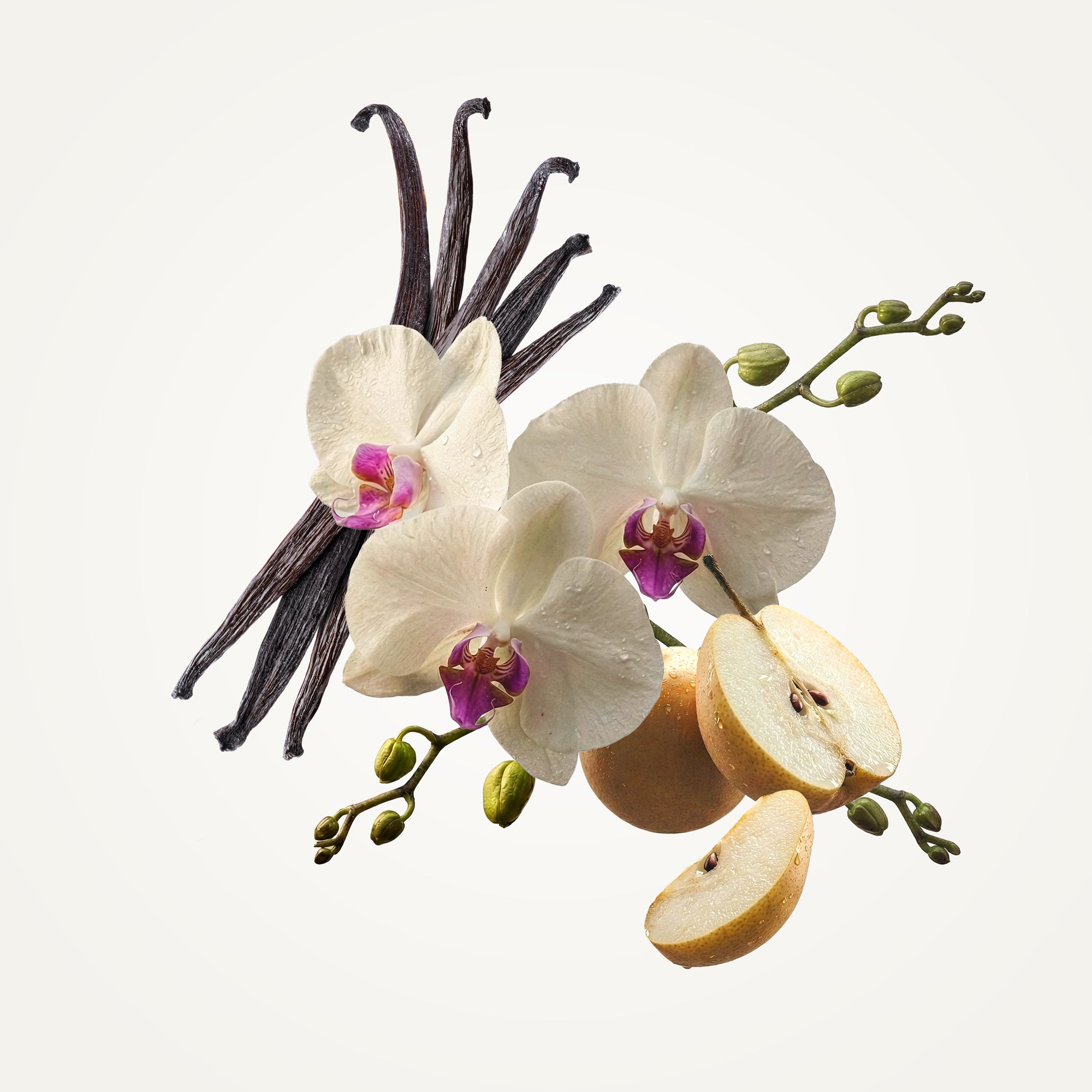 Orchid Perfume Fragrance Caswell-Massey®   