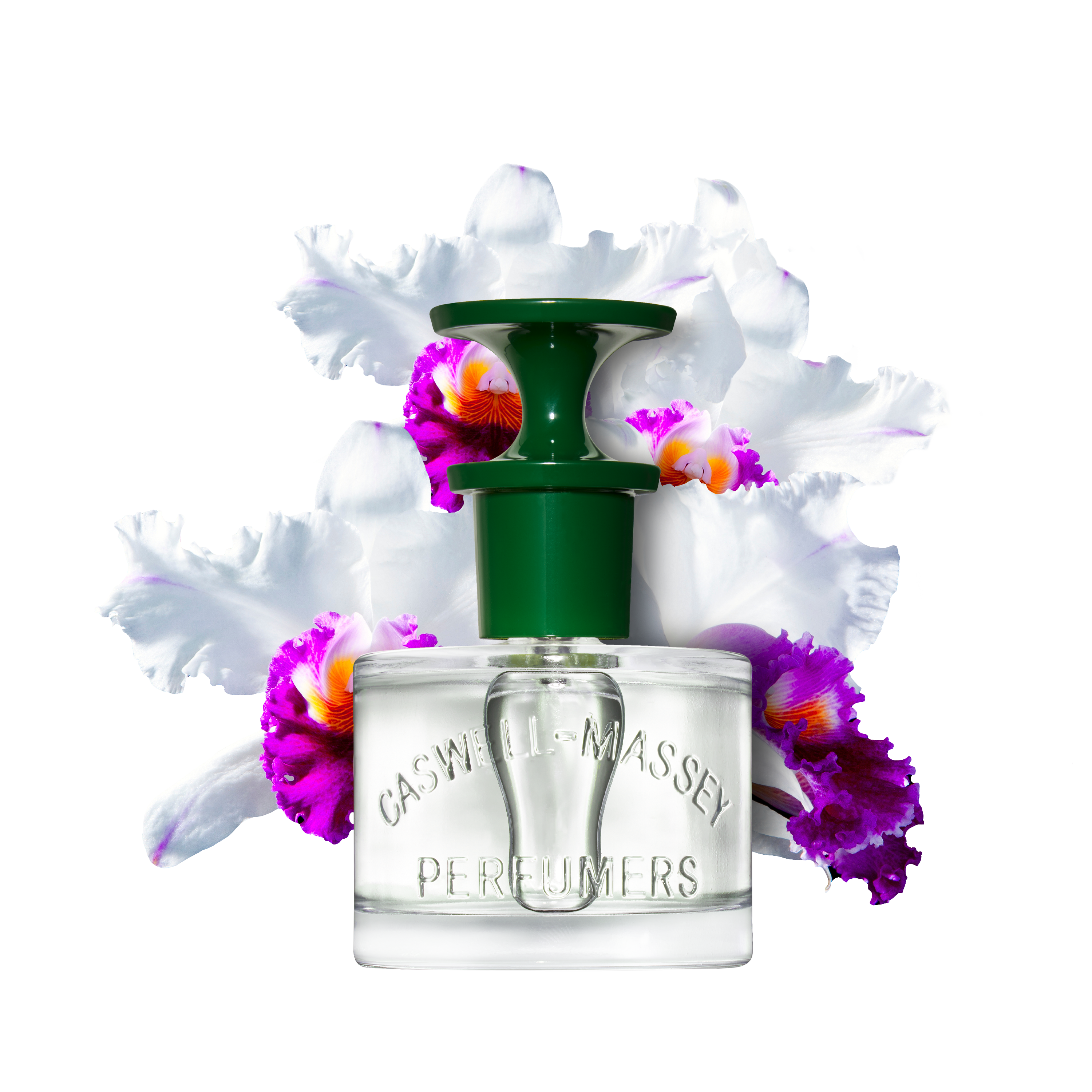 Orchid_7.5mL+60mL_Infographic_WorkingFile_PM_3000px_RGB.png