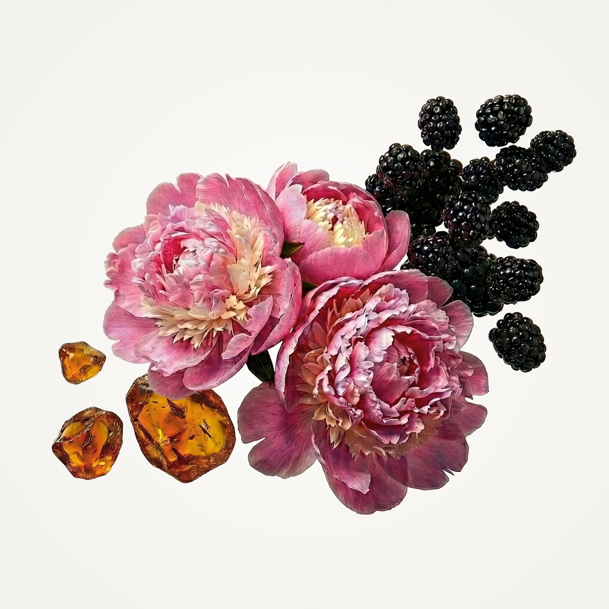 Peony Perfume Fragrance Caswell-Massey®   