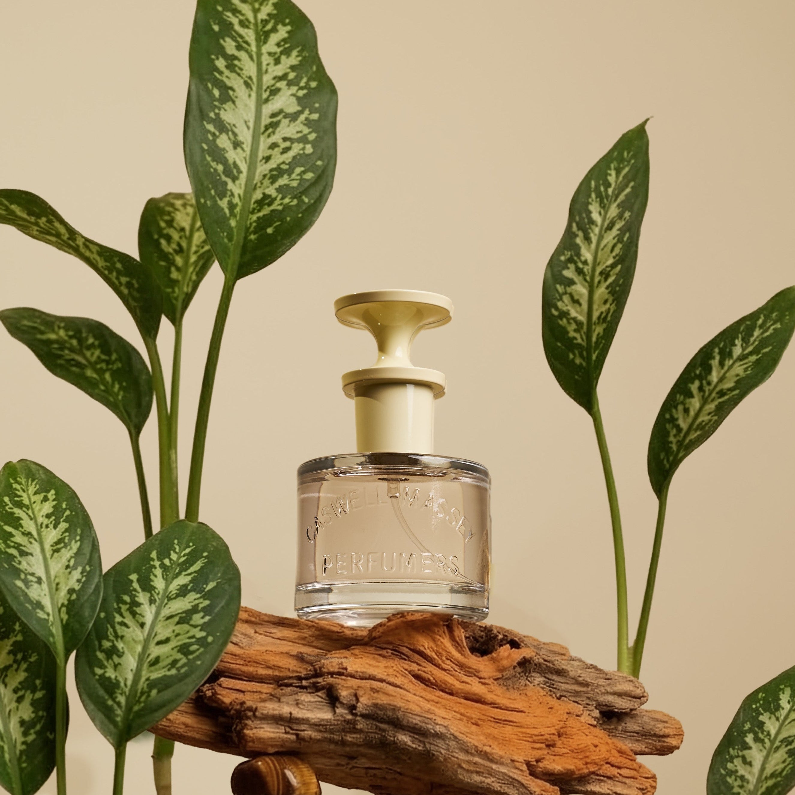 Number Six Eau de Parfum | Caswell‑Massey 1772 Icon