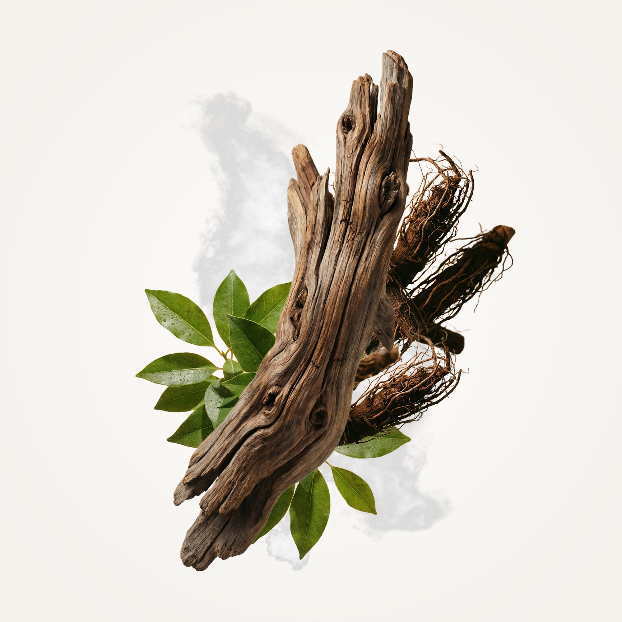 Sandalwood Eau de Toilette Fragrance Caswell-Massey®   