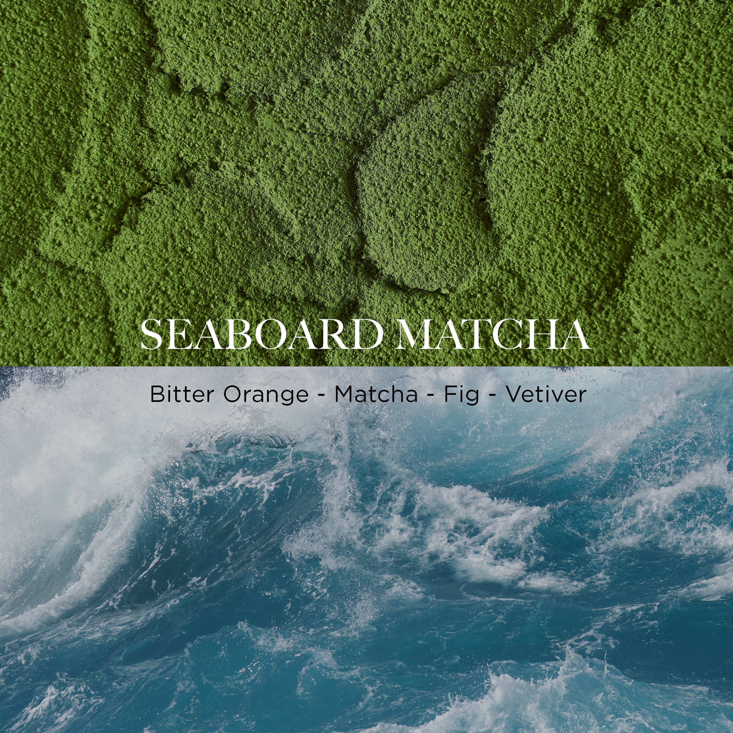 Seaboard Matcha Eau de Parfum Fragrance Caswell-Massey®