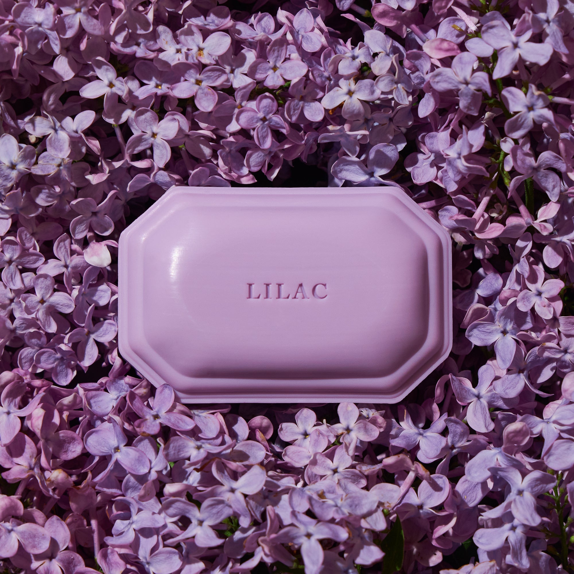 Caswell-Massey Lilac Luxury Bath Soap light purple decorative bath soap on top of purple lilac petals