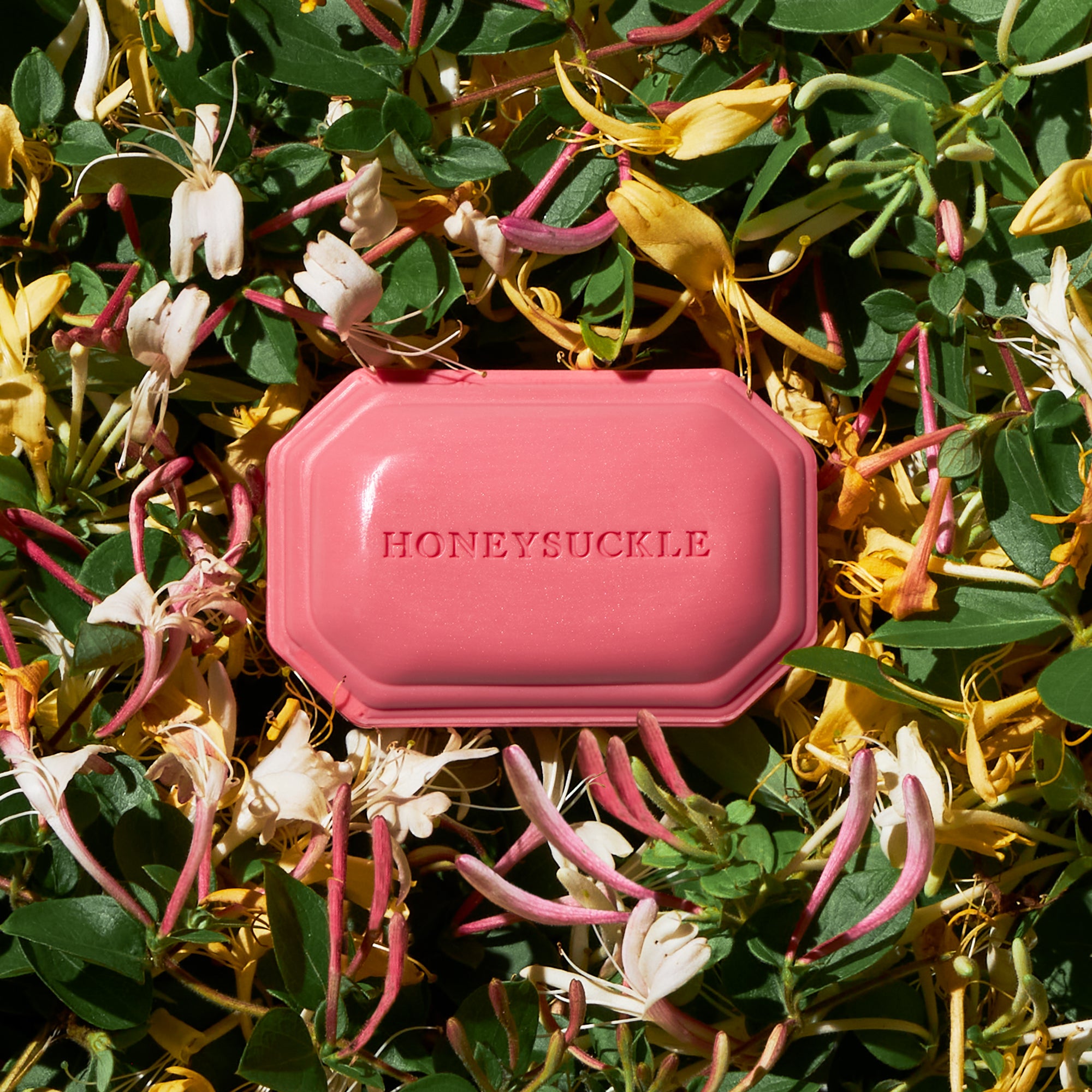 Caswell-Massey Honeysuckle Luxury Bath Soap mauve decorative shaped soap on top of bed of honeysuckle flowers